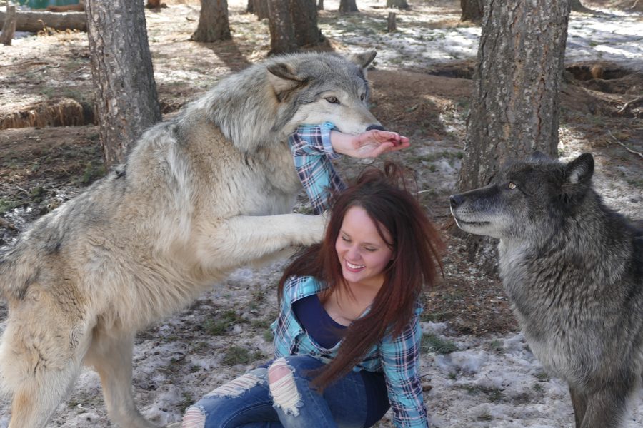 Alyssa with two wolves in the woods